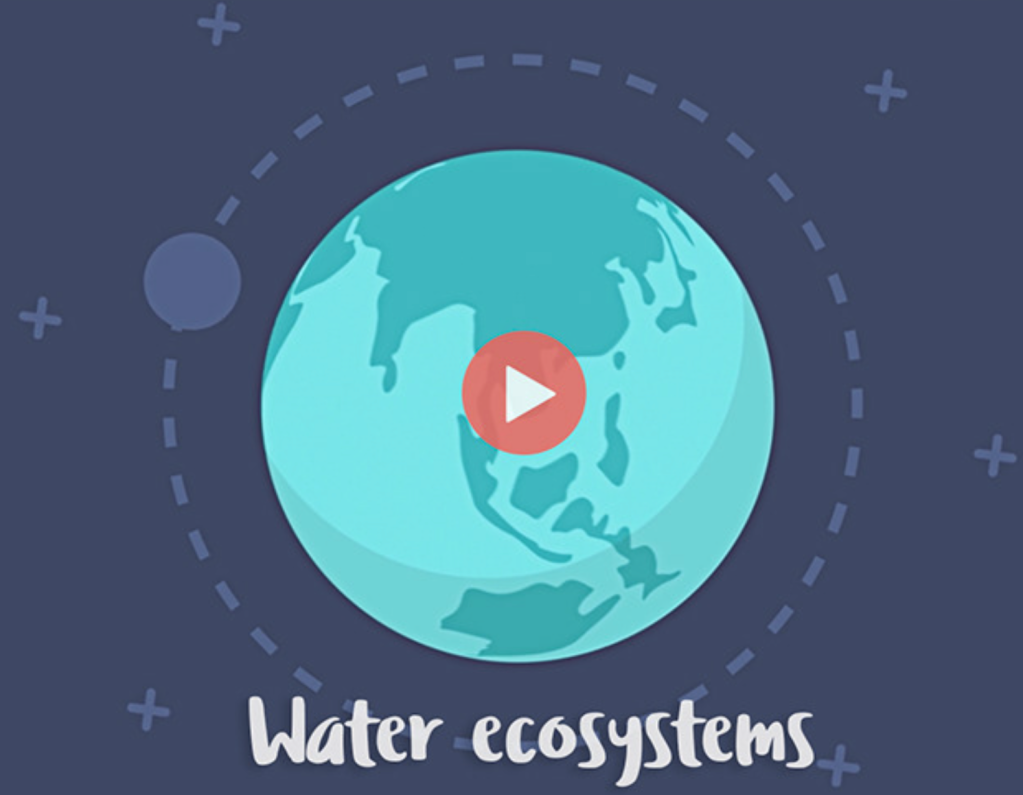 Water Ecosystems​​​​​​​